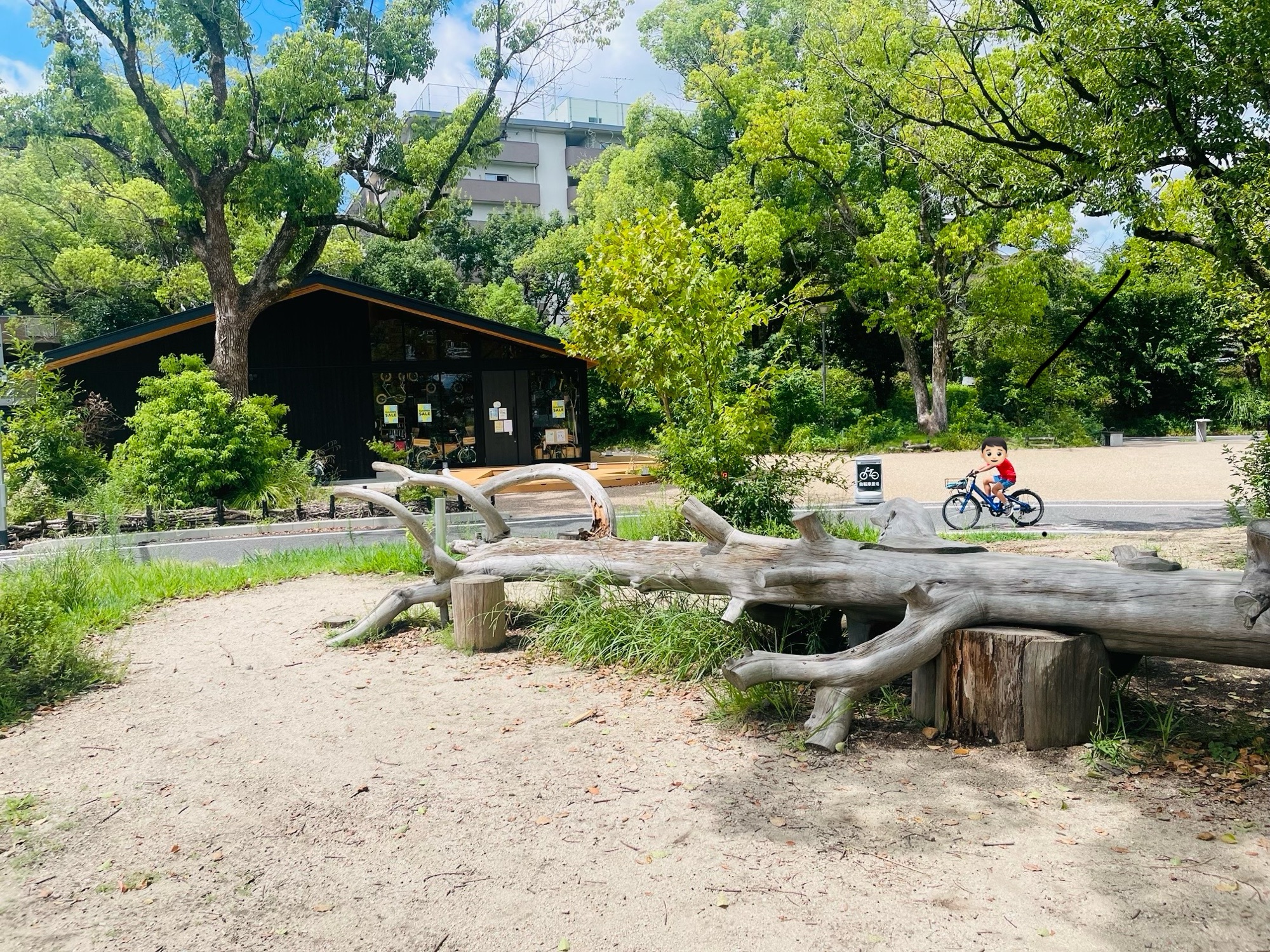 大宮交通公園の道路