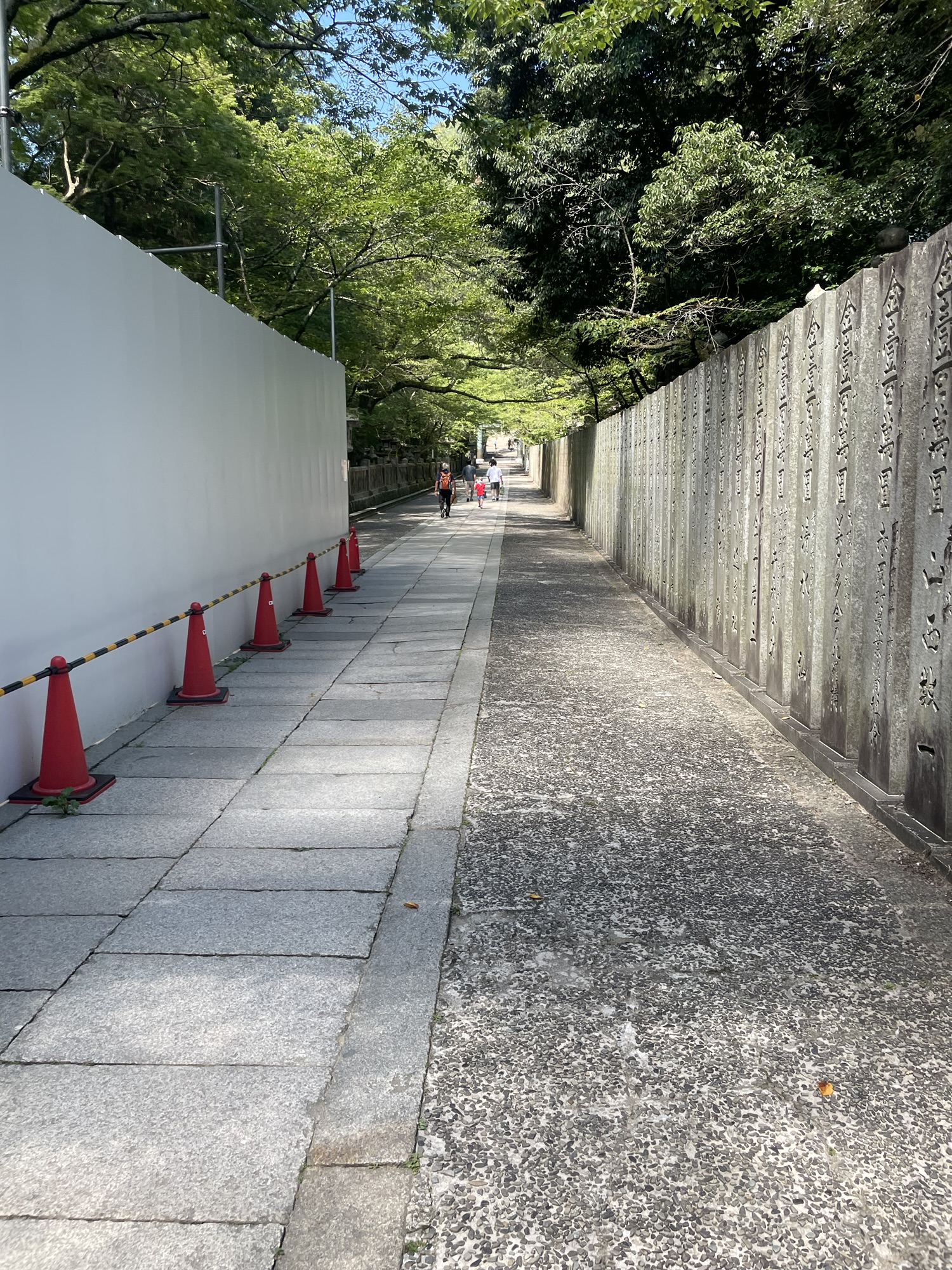 金刀比羅宮の桜馬場。広くて歩きやすい参道、春には桜が咲き誇るエリア
