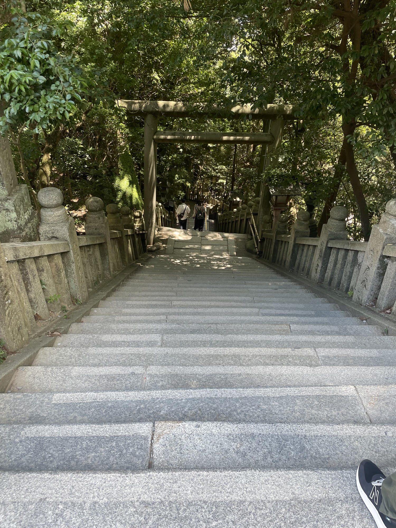 金刀比羅宮の下向道(くだりみち)の階段。木漏れ日の中を下る石段