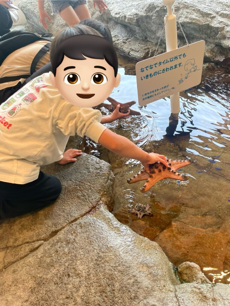 ヒトデを手に持つ子ども(ふれあい体験)