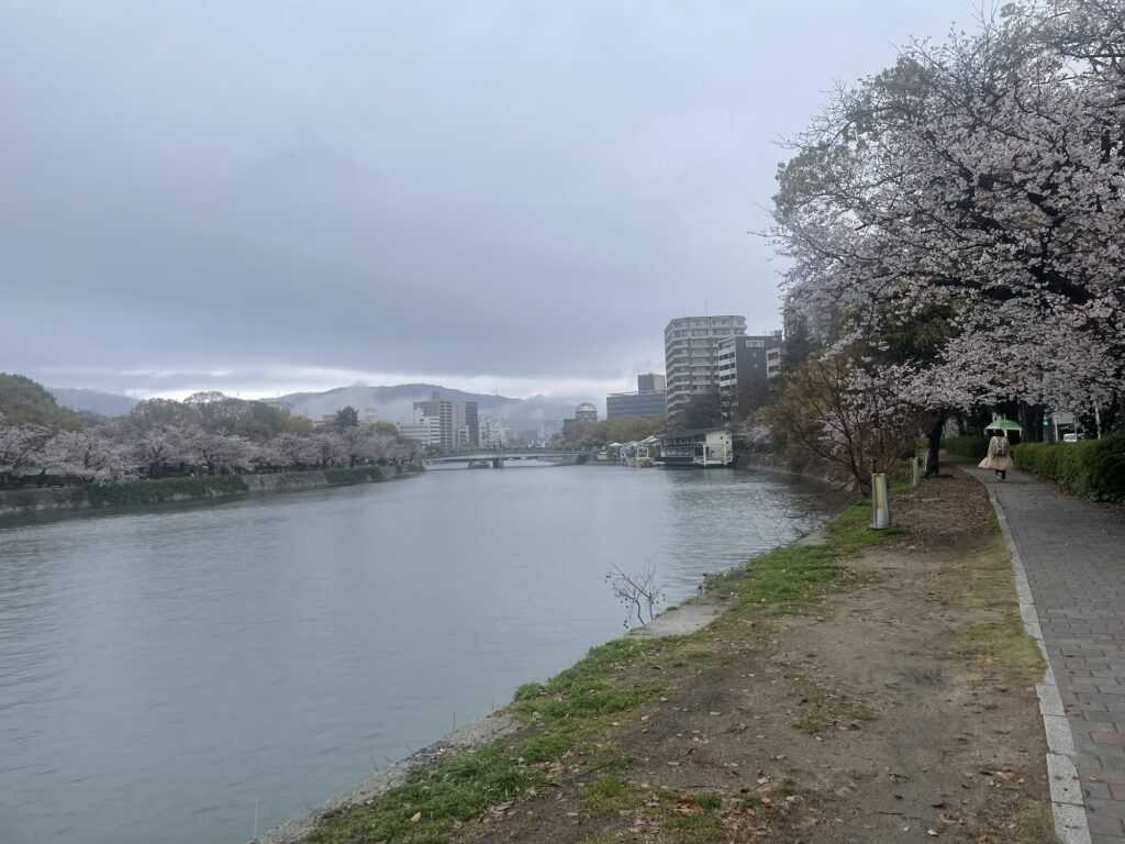 雨の中の河川敷と桜、遠くに見える原爆ドーム